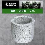 Kaiju Plant 大谷石 石鉢 Φ140mm x H120mm 0.7L アガベ 多肉 サボテン 塊根 用