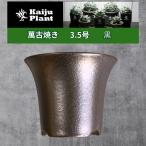 Kaiju Plant 萬古焼 3.5号 陶器鉢 ラッパ アガベ 多肉 塊根 用 1鉢 ばら売り 黒 単品