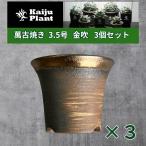 Kaiju Plant 萬古焼 3.5号 陶器鉢 ラッパ アガベ 多肉 塊根 用 金吹 3鉢セット