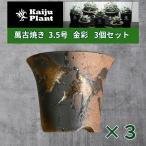 Kaiju Plant 萬古焼 3.5号 陶器鉢 ラッパ アガベ 多肉 塊根 用 金彩 3鉢セット
