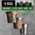 Kaiju Plant 萬古焼 3.5号 陶器鉢 ラッパ アガベ 多肉 塊根 用 金吹 金彩 黒 3色 3鉢セット