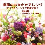 フラワーギフト 誕生日 記念日 生花 プレゼント 御祝 退職 開店祝い おしゃれ 送料無料 メッセージカード無料 おまかせ アレンジメント