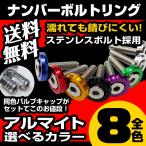 ナンバーボルトリング LED字光式対応の25mmロングボルト カラーワッシャー エアバルブキャップ ドレスアップ ステンレスねじ 間に挟み込むだけ 送料無料