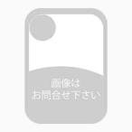 取寄せ グッドリッジ12-13ホンダシビック(SIモデル) / 13 Acura ILX 2.4L LRGディスクSSブレーキラ T14 20028 gri20028
