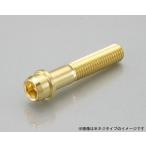 キタコ  K・CON Proビビッドボルト(24Kver) M10×25/P1.5 全ネジ　0901-100-00102