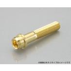 キタコ  K・CON Proビビッドボルト(24Kver) M10×20/P1.5 全ネジ　0901-100-00101