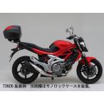 ショッピング09-10 【5月14日出荷】デイトナ グラディウス400/650('09-'10)用 GIVI スペシャルキャリア　SR121M 94042