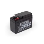  Takegawa Monkey Gorilla 12V наклейка модель MF аккумулятор (JTR4A-BS) SP05-11-0025