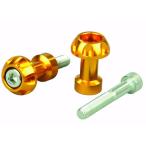 POSH Faith(poshu лицо ) NASA модель длинный сеть якорь M8 для Gold 004032-04 мотоцикл груз .. крюк * болт 