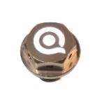 Aebs C-61641-BN Neodym( Neo Jim ) сливной болт Suzuki машина Brown мотоцикл 