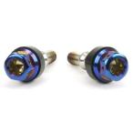 JSM ヘキサゴンヘッド PVDチタンコートボルト M6×30mm P1.0mm TA-JSM-BT033TI バイク