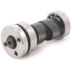 SP Takegawa ( специальный детали Takegawa ) гипер- распределительный вал KSR110 01-08-045 мотоцикл 