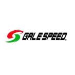 GALE SPEED(ゲイルスピード) ディスクローター用 ロックナット M8 28200087 バイク ブレーキ