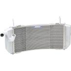  искусство гравировки Factory радиатор core защита T-MAX560(20-21) для серебряный / чёрный RGY-TMAX-02 мотоцикл 