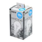 TAKAGI(タカギ) 整備用品 ガレージ工具 作業灯・作業ライト・ワークライト 耐震球(A) 100W