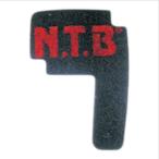 NTB SA-1007 エアフィルター 4サイクルバーディ バイク