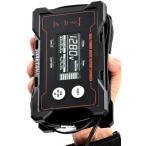 37802 デイトナ Daytona バッテリーチャージャー ディスプレイ付き ポータブル電源対応 12V専用