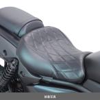 スペシャルパーツ武川 Kawasaki エリ