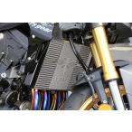  Earl's механизм CB1000 HORNET /SP радиатор core защита Large Logo серебряный AC00-048H-LS