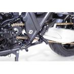 GALE SPEED ZRX1200 DAEG ZRX1200R/S Elaborate foot контроль комплект черный FCK7001B