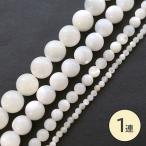  Sherpa -tsu ракушка (2mm круг )40cm белый 2mm. натуральный материалы ручная работа доставка внутри страны 