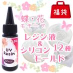 福袋 2024 レジン液 シリコンモールド12点セット 5,643円相当が25％オフ 蝶 花 春 フラワー レジン 対象外