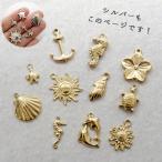  очарование море узор 1 шт нержавеющая сталь SUS304 металл аллергия соответствует присоединение .. нет ok дельфин морской конек umigame ручная работа детали 