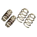 TEIN Tein HIGH.TECH Alphard Hybrid AYH30W 2018.01- заниженная подвеска SKTC0-G1B00