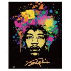 Jimi Hendrix ミニポスター ジミ・ヘンドリックス ポストカード インテリア用品