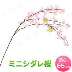 2ÅÀ¥»¥Ã¥È 65cm¥ß¥Ë¥·¥À¥ìºù