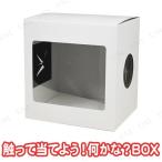 触って当てよう!何かな?BOX プレイアベニュー パーティーゲーム おもちゃ 組み立て式 触って当てる
