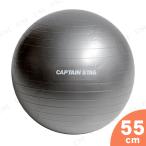 【取寄品】 CAPTAIN STAG(キャプテンスタッグ) Vit Fit フィットネスボール 直径55cm シルバーホワイト UR-861 美容 健康グッズ