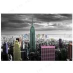 ニューヨーク New York(Colour Splash) ポスター ポストカード インテリア用品