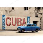 【取寄品】 Viva Cuba ポスター ポストカード インテリア用品 デザイン