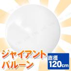 ¥¸¥ã¥¤¥¢¥ó¥È¥Ð¥ë¡¼¥ó 48¡É 120cm ¥Û¥ï¥¤¥È