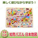 取寄品 知育パズル 日本地図