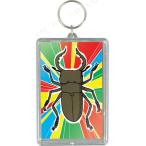 取寄品  ワンタッチクリアキーホルダー(印刷無)