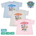 パウパトロール パウパト 半袖 Tシャツ プリント トップス キッズ ベビー 子ども 子供服 男児 ジュニア 男の子 女児 女の子 プリント 100-120 キャラクター 【1