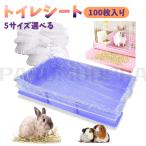 うさぎ トイレ 100枚入り うさぎ トイレシート ケージ用 トイレ用 ハムスタートイレシート ケージ お掃除 カバー シート 使い捨て 透明 漏れ防止 大容量 PE素材