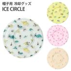 アイスサークル　ICE　CIRCLE　A3Y4082　メール便送料無料　ポイント2倍　海外NG
