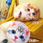 ヘンリーキャット 猫型 クッション 小 お子様の枕にも 全2種類 Henry Cats &amp; Friends