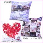 ヘンリーキャット 角型クッション 45cm 猫と一緒にお昼寝 全3種類 Henry Cats ＆ Friends