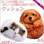 ヘンリーキャット 犬 猫 クッション 中 とってもかわいい 癒しのクッション  Henry Cats &amp; Friends