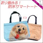 ヘンリーキャット サマートート 海に プールに 防水だから 温泉 だって 大丈夫 Henry Cats ＆ Friends