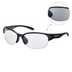 サングラス SWANS LUNA LN-0066 BRBK 調光�