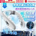 ネッククーラー 2024新版 ネックファン 羽なし 扇風機 瞬間冷却 冷却プレート 静音 軽量 最強 小型 ひんやり 空調扇風機 半導体 上下送風 冷房/暖房 おしゃれ
