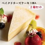 【送料無料】規格外チーズケーキ5個入り2箱セット　冷凍　スイーツ　ケーキ　チーズケーキ　訳あり　アウトレット