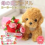 母の日 ギフト 花 まだ間に合う カーネーション プレゼント 2025 花 70代 60代 80代 ぬいぐるみセット 日付指定 可能 送料無料 プードル 誕生日 花束 ブーケ
