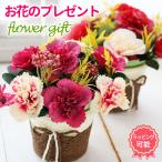 母の日プレゼント 60代 70 代 ギフト 花 カーネーション 2025 フラワーギフト 誕生日 お祝い 記念日 レデイース 30代 40代 50代