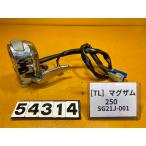 [ бесплатная доставка ][TL 54314] Yamaha Maxam 250 SG21J-001 рукоятка с переключателем левый металлизированный 